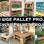 20 Creative Pallet Projects for Your Home and Garden