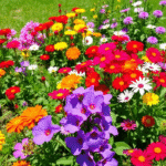 25 Low-Maintenance Flowers That Don’t Need Deadheading