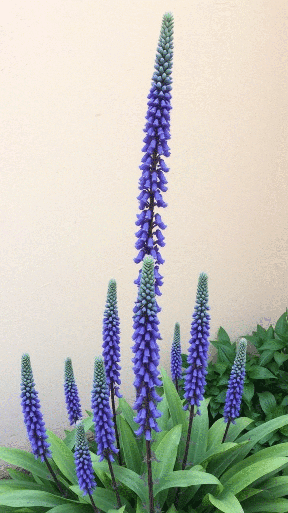 Accent Pieces for Visual Interest