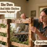 Watch How She Uses Pallet Wood
